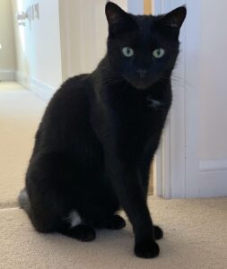 Timothy
